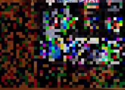 img_9175-1.jpg